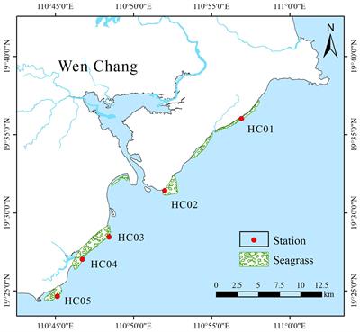 Assessment of the community status of seagrass bed and its relationship with environmental characteristics in Wenchang, Hainan Island, China